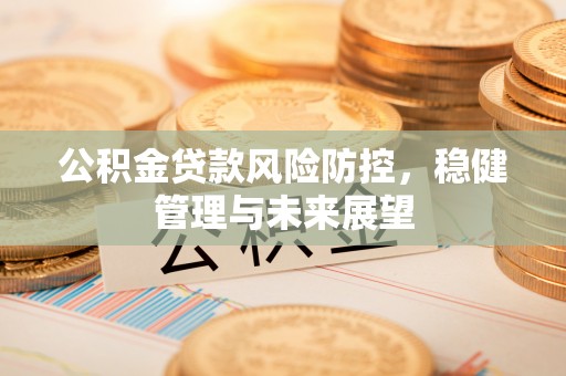 宜春公积金贷款风险防控，稳健管理与未来展望